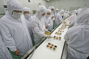 河北食品企業(yè)QS許可審查咨詢(xún)認(rèn)證與教育咨詢(xún)服務(wù)全解析